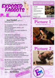 PEA sissy jona femdoll