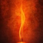 Profile picture of Dominic Clark