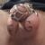 Profile picture of Fag