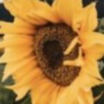 Profile picture of David Wilson