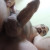 Profile picture of Wanka Boy