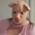 Profile picture of Sissy Zach