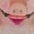 Profile picture of Faggot Jacob