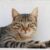 Profile picture of John Lubber