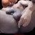 Profile picture of faggot roshan