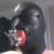 Profile picture of gerhard ralf
