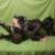 Profile picture of Agata Cross