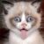 Profile picture of Burtrum (Burt) Ransome