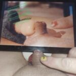 Profile picture of Harrison Fitzfagit