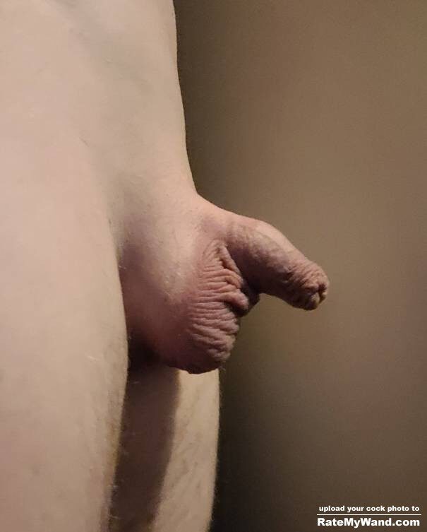 159594032