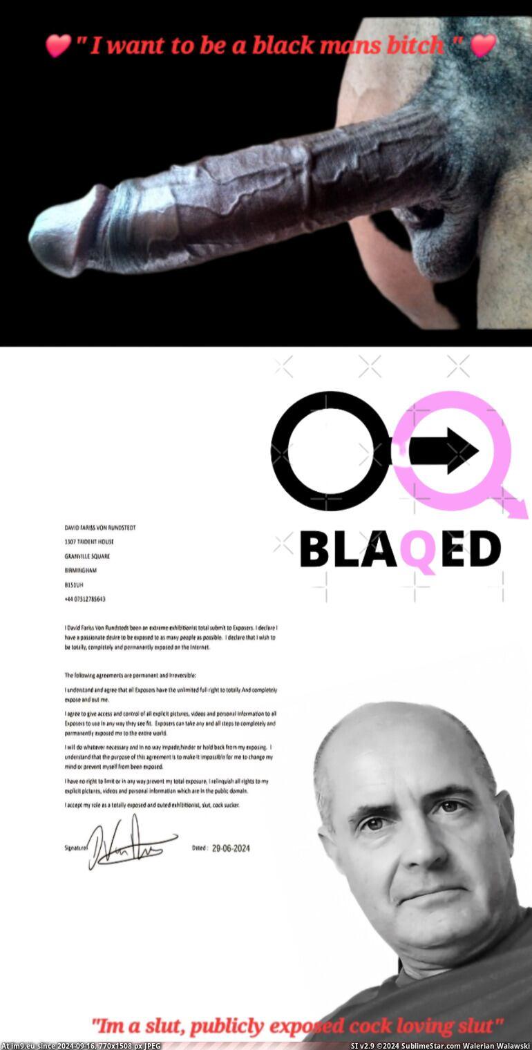 black-mans-bitch