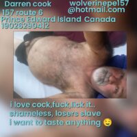collage_1_0-1729520832633 