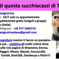 Expose Bellasignorina (IT) cut 
